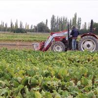 Iran crisis poses new challenges to Turkish agriculture