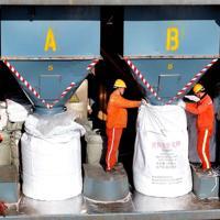 Top WTO official sounds fertilizer warning over war