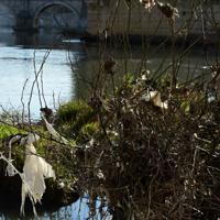 EU urged to broadly restrict 'forever chemicals'