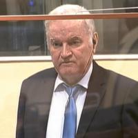 'Butcher of Bosnia' Mladic suffers stroke: Son