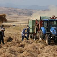 Agricultural input prices up 31.6 percent annually: TÜİK