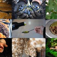 EU registration of Turkish geographical indications accelerates