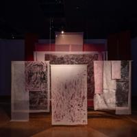 Exhibition explores landscape, memory and archives
