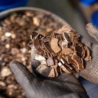 Germany opens rare earth magnet recycling plant - Latest News