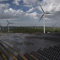 Renewables account for almost all new power capacity in 2025