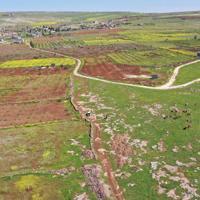 Japanese, Chinese archaeologists to join Neolithic digs