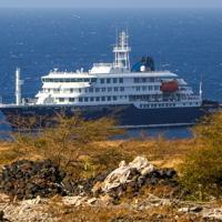 WHO: 2 hantavirus cases confirmed, 5 suspected on cruise ship