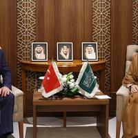 Türkiye, Saudi Arabia to convene joint council amid regional tensions