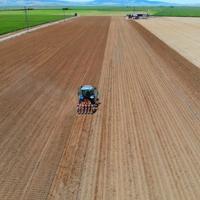 Agricultural production will recover this year, says Minister