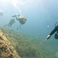 Landmark replicas set to become reefs - Türkiye News