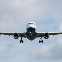 Sustainable jet fuel too costly and scarce, airline group warns