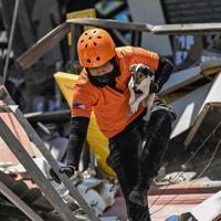 Deadly Philippine quake ‘raised seabed by two meters’