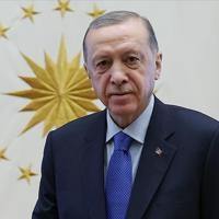 Erdoğan meets new EU envoy as five ambassadors begin duties