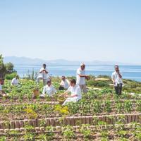 What happens when seafood restaurant decıdes to save sea?