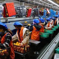 Türkiye injects 187.5 bln lira into manufacturing sector through 2028 - Latest News