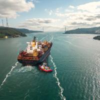 Turkiets export nådde rekordnivå för juli med 25,6 miljarder dollar