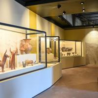 Troy exhibition at Colosseum draws over 2 mln visitors