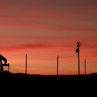 Oil rally lifts bond yields, weighs on gold - Latest News