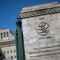Global goods trade strengthens despite uncertainty: WTO