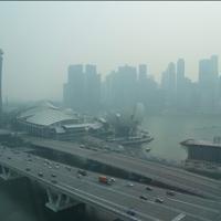 Indonesia cuts gas exports to Singapore