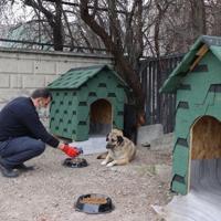 Türkiye converts food waste into animal feed in 74 provinces