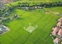 Tarım arazileri kiralanacak