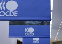 OECD: Işık göründü