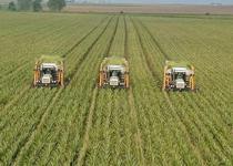 Hazineye ait 1793 taşınmaz çiftçilere kiralandı