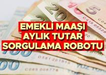 SSK, BAĞKUR EMEKLİ MAAŞI (TOPLAM AYLIK MİKTARI) HESAPLAMA ROBOTU 2024 || SGK 4A, 4B emekli maaşı ne kadar, maaş farkı nasıl hesapl