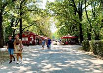 Komşuda euro hazırlığı... Birçoğu temkinli davranıyor