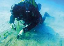 Mavi Nefes’ten müsilaja çare çıktı