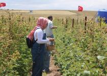 5 yıl önce kurdu şimdi talebe yetişemiyor! Vatandaş eli boş dönüyor