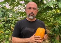 46 derece sıcaklıkta ithalata meydan okuyor! 