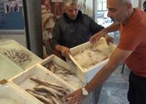 Jumbo karidesin fiyatı bolluk ile düştü