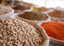 219 ülkeye Türk hububatı! 10 ayda 10 milyar doları aştı