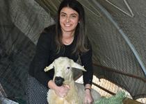 Devlet desteğiyle besiciliğe başladı, 250 hayvana ulaştı