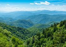 Orman Genel Müdürlüğü 496 sözleşmeli personel alıyor