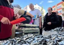 Hamsi ve istavrit Trabzon'da 100 lira
