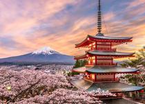 Asya borsaları Japonya seçim süreci ile alıcılı