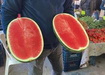 Sezonun ilk karpuzları tezgahlarda! İşte fiyatı