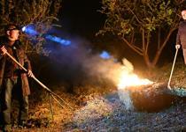 Tarım ve Orman Bakanlığı’ndan zirai don uyarısı