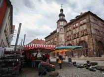 German far-right leads mayoral race near former Nazi camp