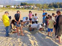 Aydın witnesses thrive in Caretta caretta nests