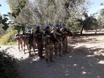 Security forces patrol olive gardens at harvest season