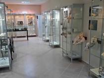 Findings throw light on Istanbul’s wildlife history