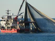 Adverse weather hits fishing sector