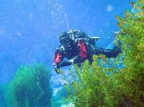 Turquoise gem Lake Gökpınar closes for divers