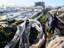 1 in 3 Turkish cities grapple with climate crisis: Research