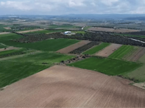 Lost martyrs’ cemetery from Gallipoli campaign located