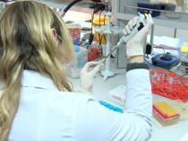 ‘Allergy pandemic’ on rise, expert immunologist says